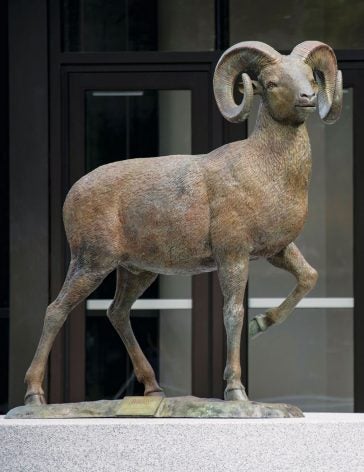 Photo of ram statue in front of the Robert J. Higgins Welcome Center