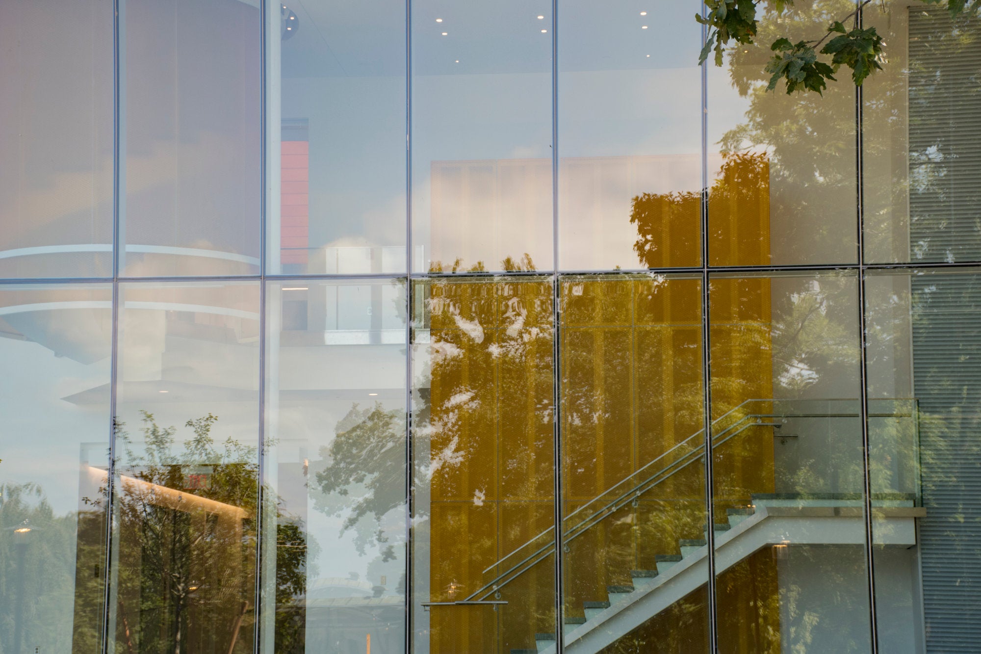 A view of the ground floor corridor with the surrounding landscape reflected in the glass.