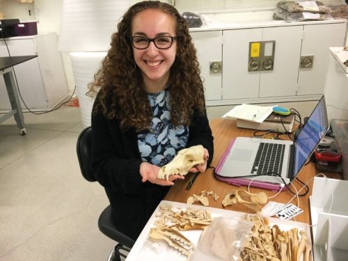 Kate Fish working with specimens at the Harvard Museum of Comparative Zoology