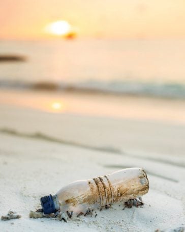 A plastic bottle on a beach with the sunset in the background