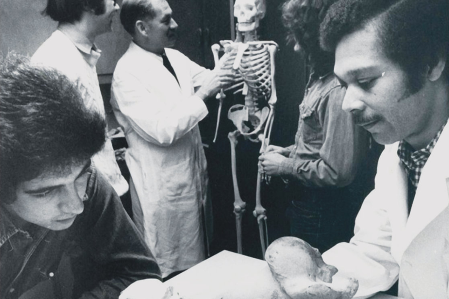 An old black and white photo of students and professors in a lab studying animal skeletons