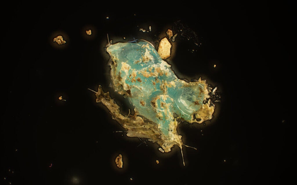 Close-up view of a microplastic particle from Narragansett Bay
