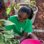 A girl seated next to a potted plant wearing a 4H tshirt