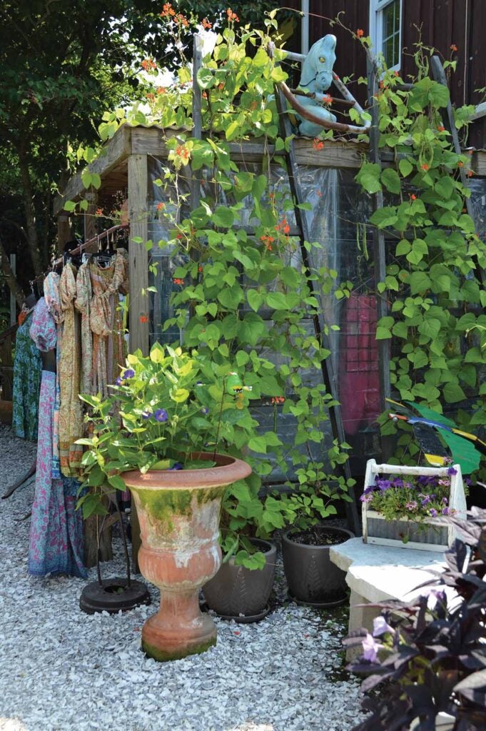 Potted plants sitting in front of a rack of colorful dresses