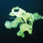 A green claw-shaped machine underwater