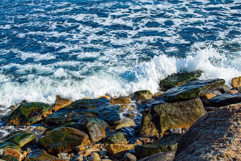 A photo of Conant Avenue in Narragansett, RI where the ocean waves break against the rocky shore by Emily Gordan.