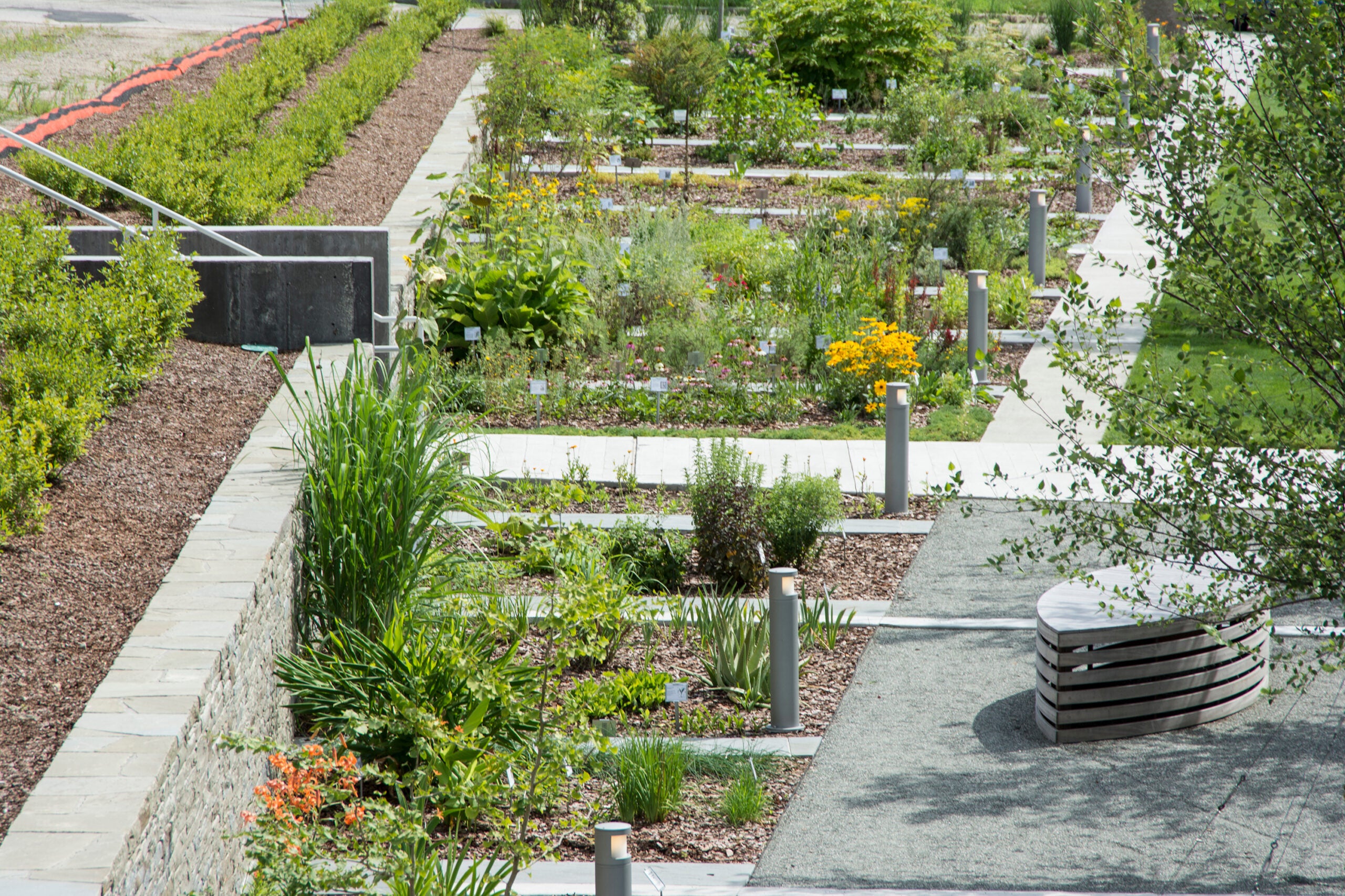 Heber Youngken Jr. Medicinal Garden