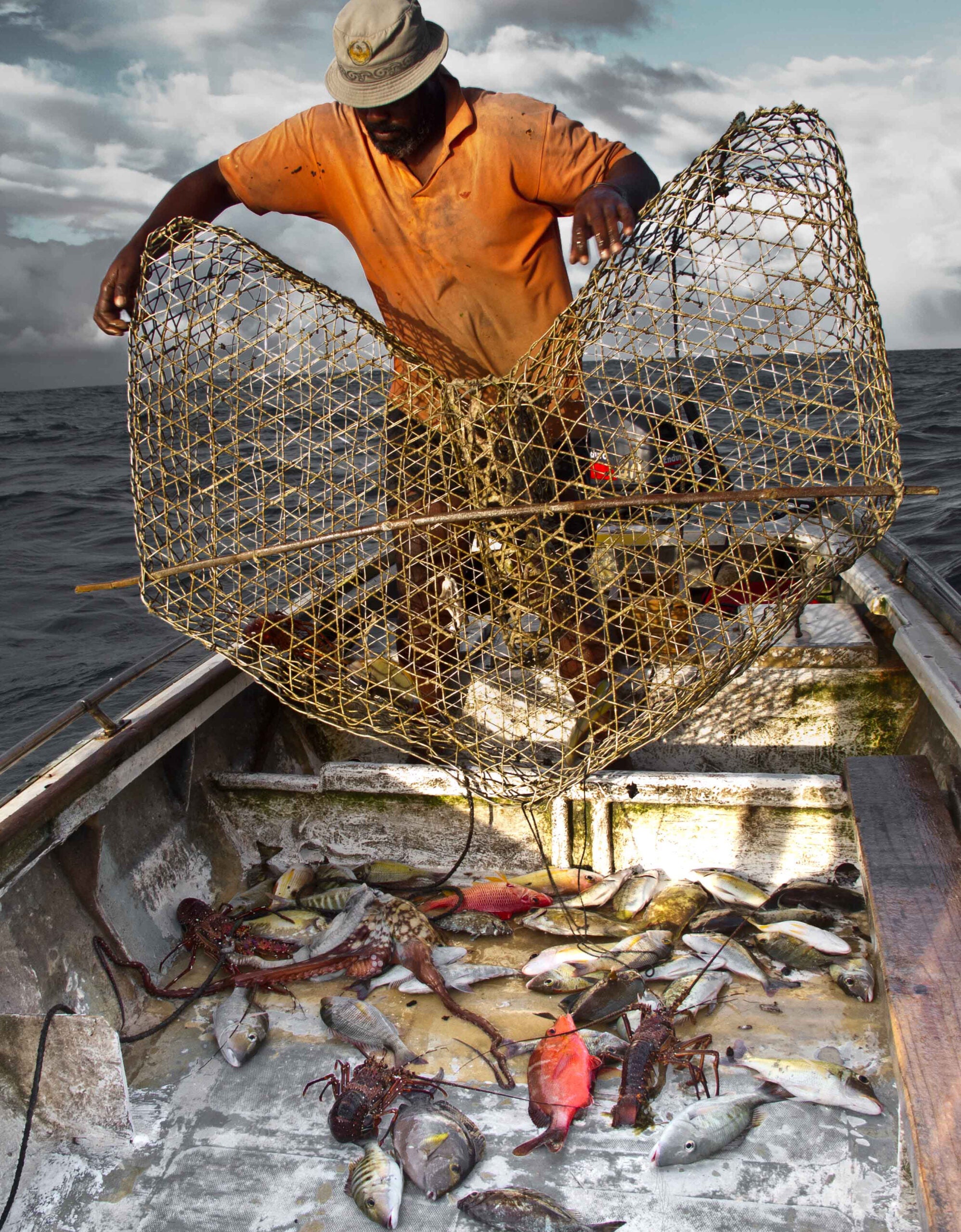 An artisanal fisherman in the Seychelles pulls in his catch