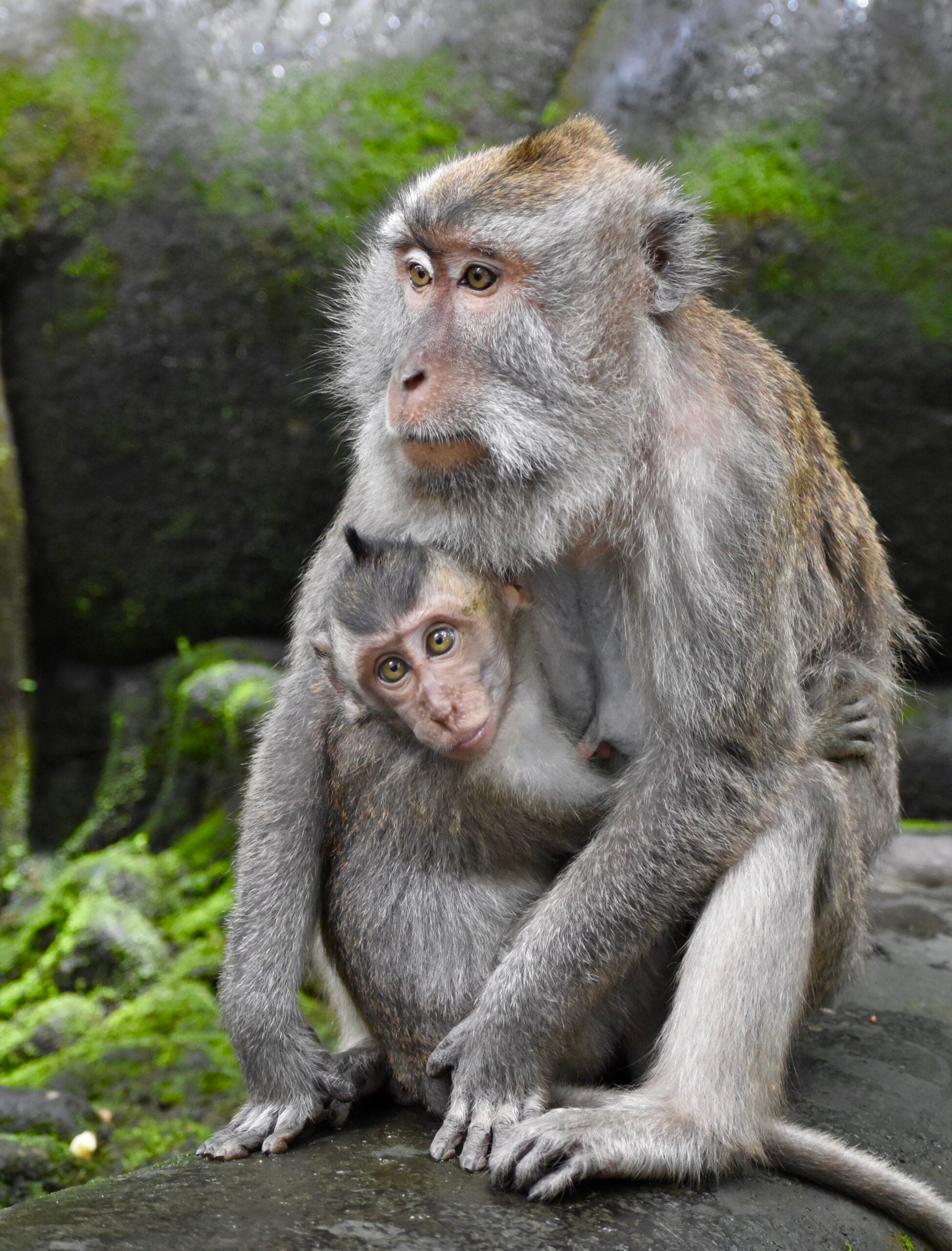 The Endless Bond Between Mother and Child