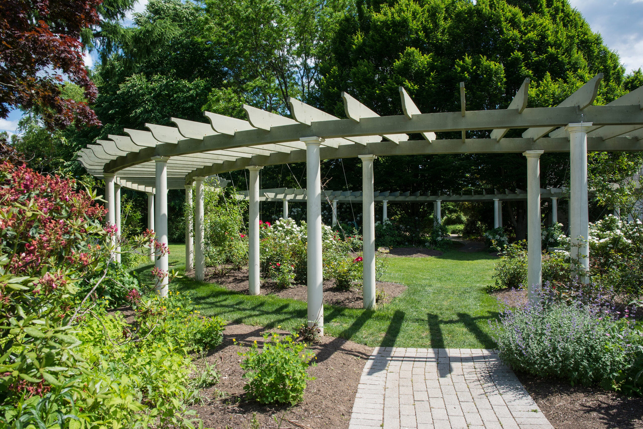 Botanical Gardens