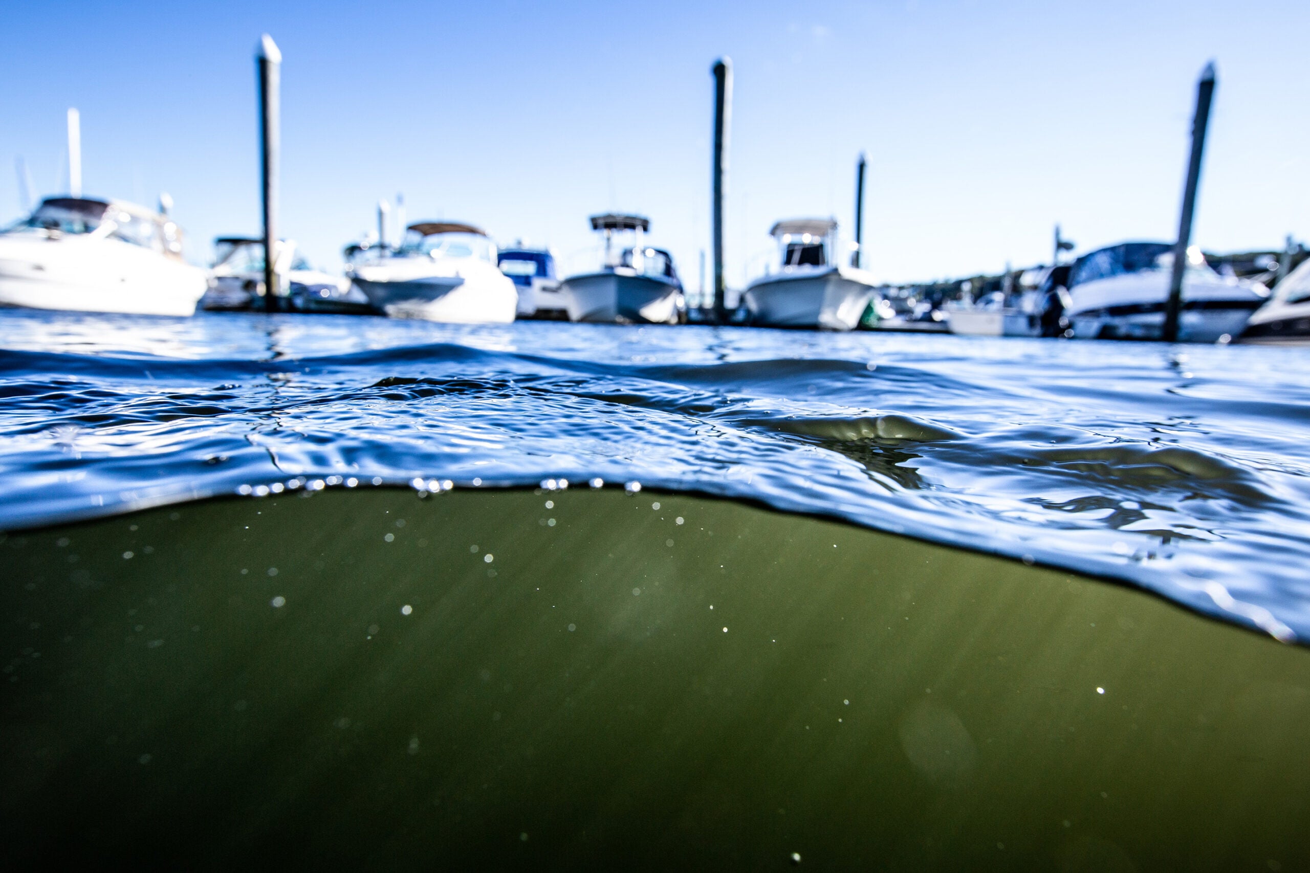 Greenwich Bay