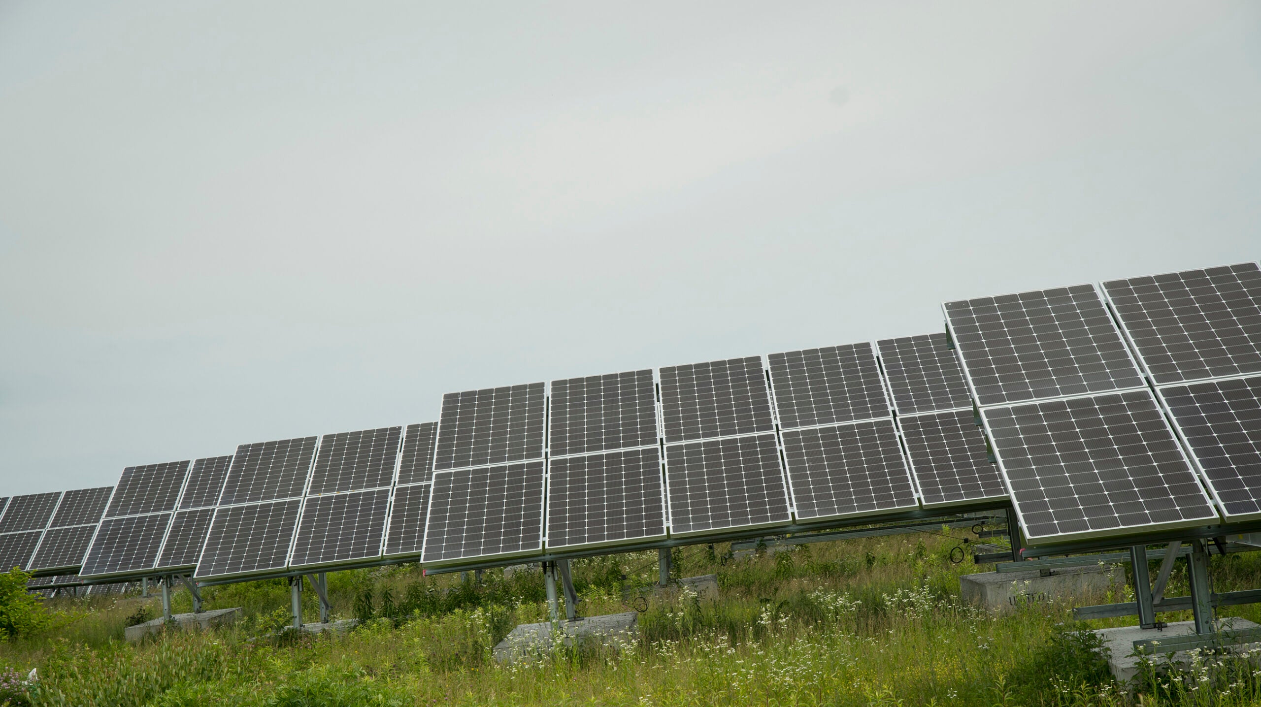 solar panel field in West Kingston