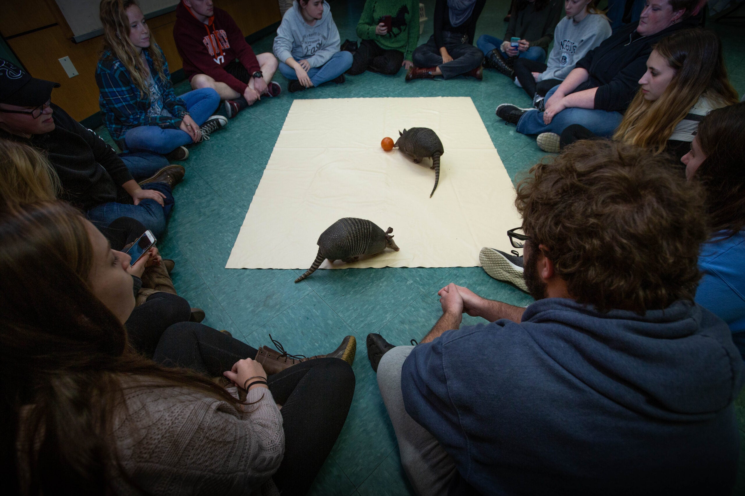 URI students learn exotic animal management in semester-long class at Roger  Williams Park Zoo – Rhody Today