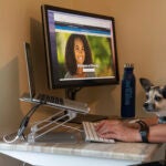 Computer screen showing online