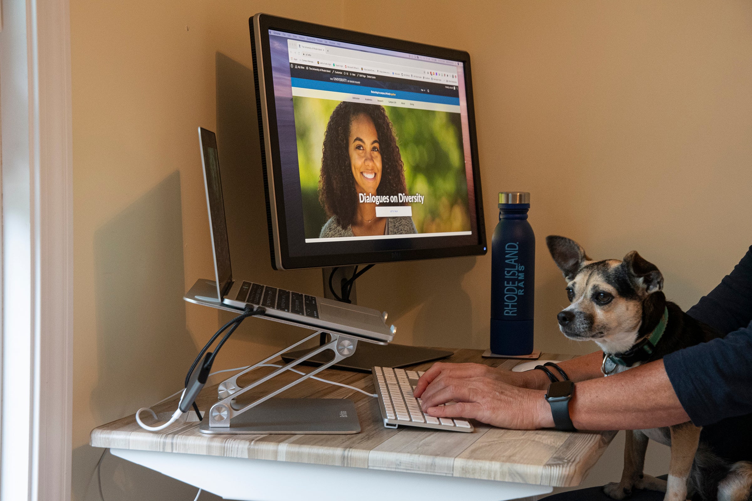 Computer screen showing online