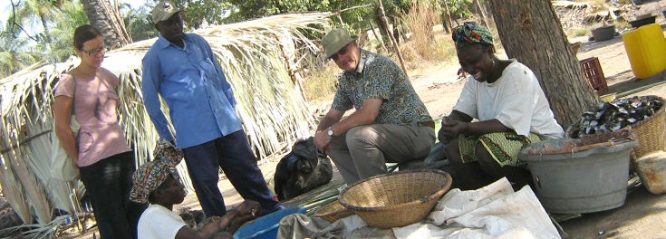 Professor Mike Rice working with the TRY Oyster Women in The Gambia