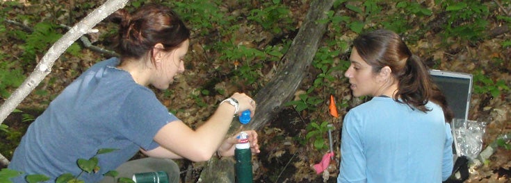 Two URI students measuring nitrogen levels in a local stream