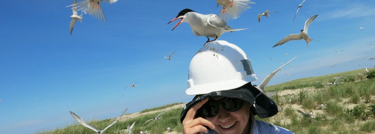 Coastal Fellow student with seagull landing on her head