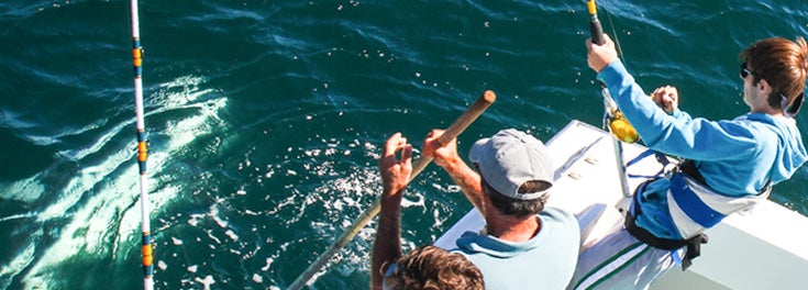 Students in boat tagging a shark