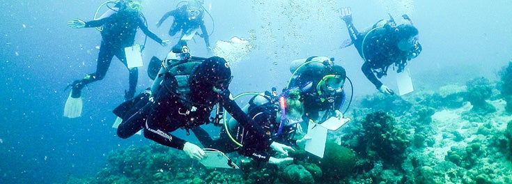 Students scuba diving in Bonaire