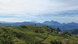 Guatemala landscape