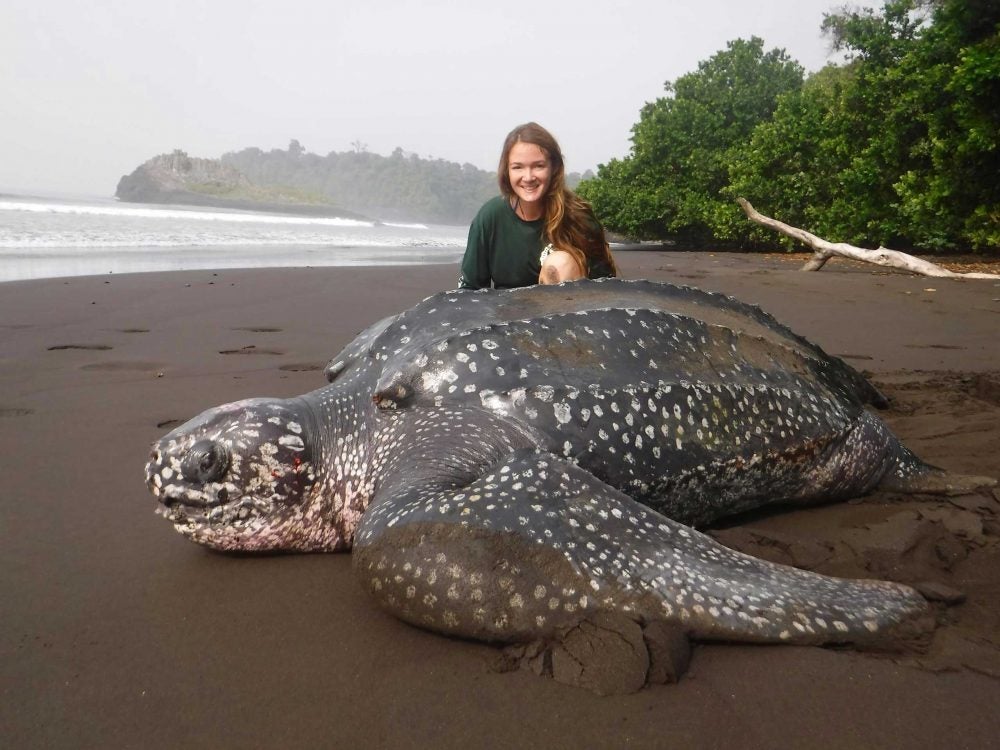 Callie Veelenturf with leatherback sea turtle
