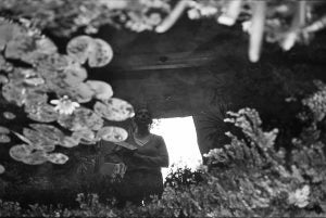 Reflection of a person in a lily pond