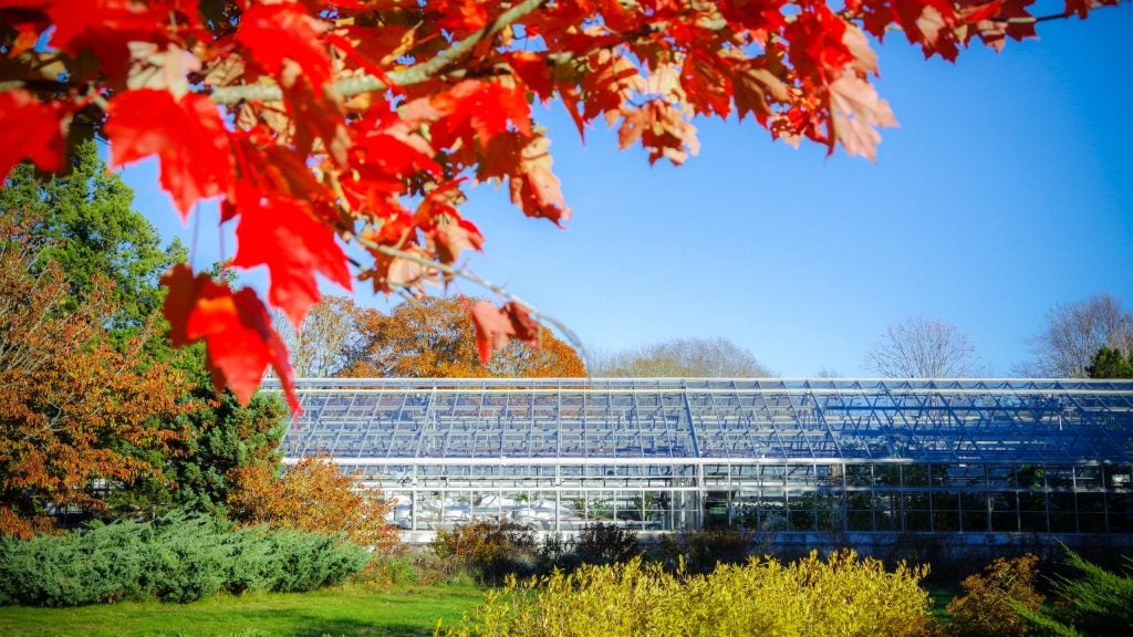 URI greenhouses in autumn