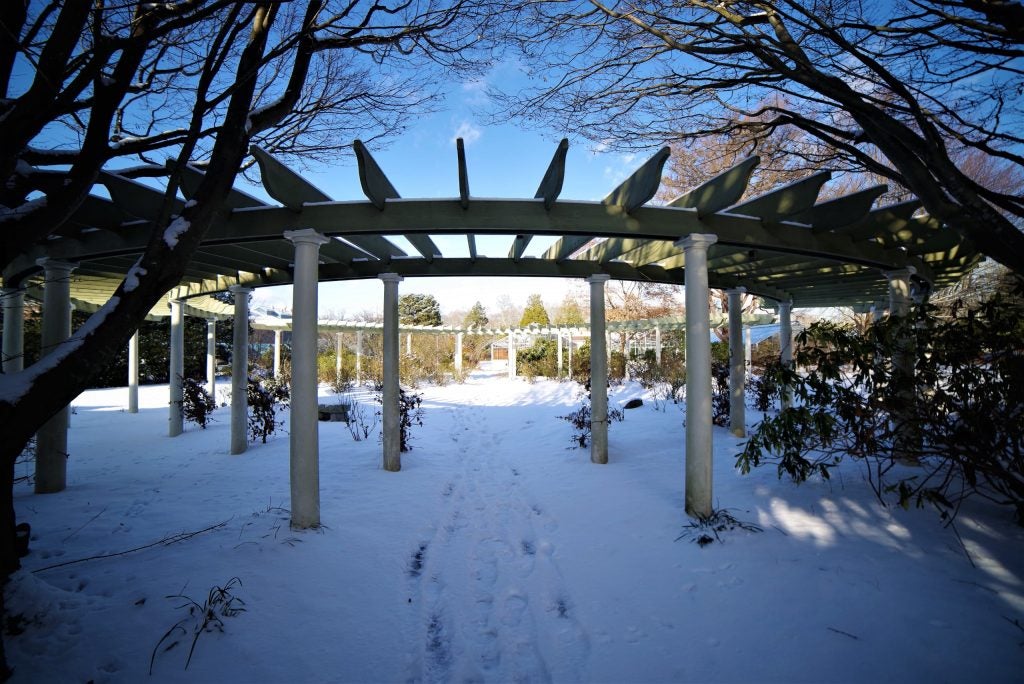 gardens under a blanket of snow