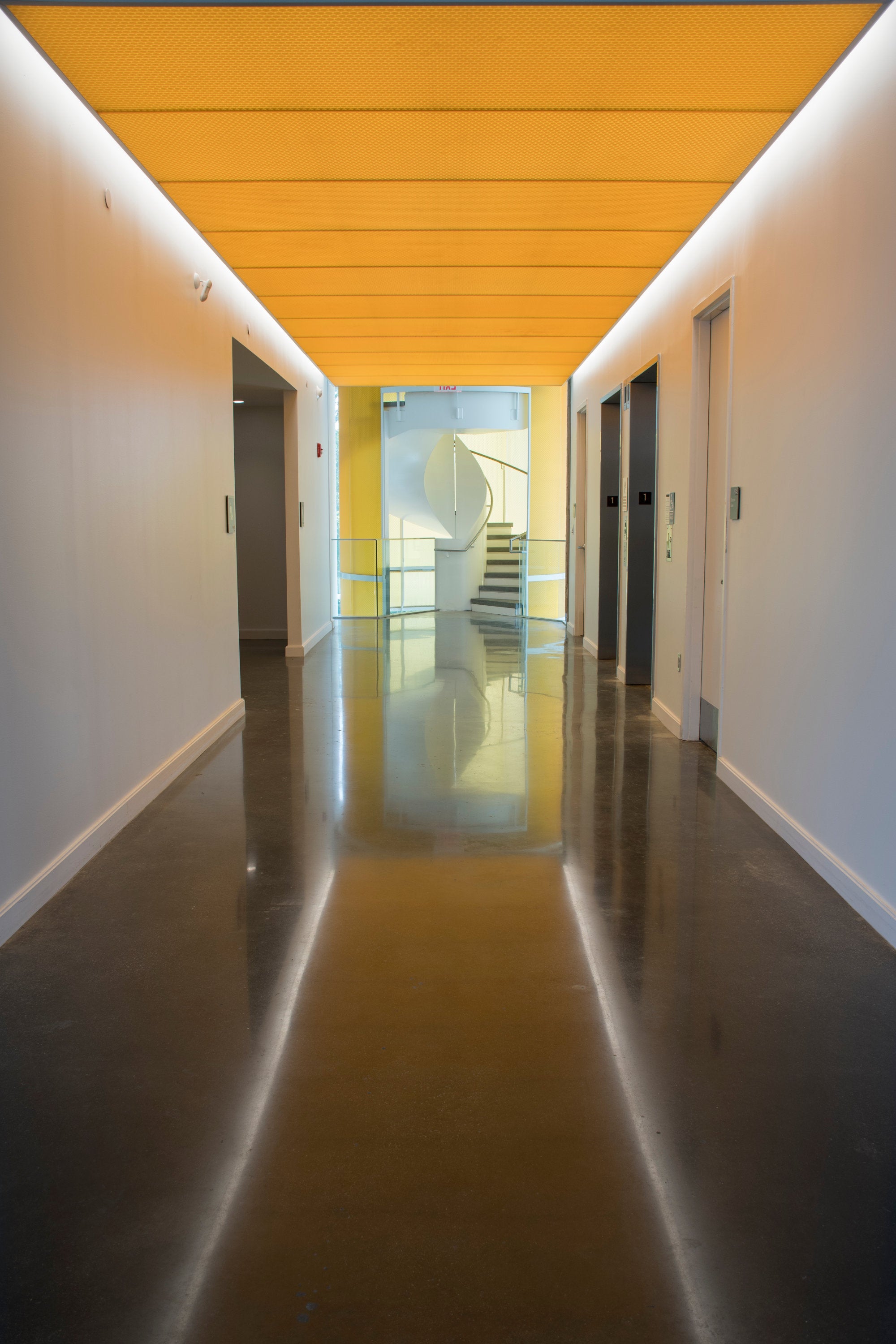 A view of an interior hallway in the Fascitelli Center for Advanced Engineering