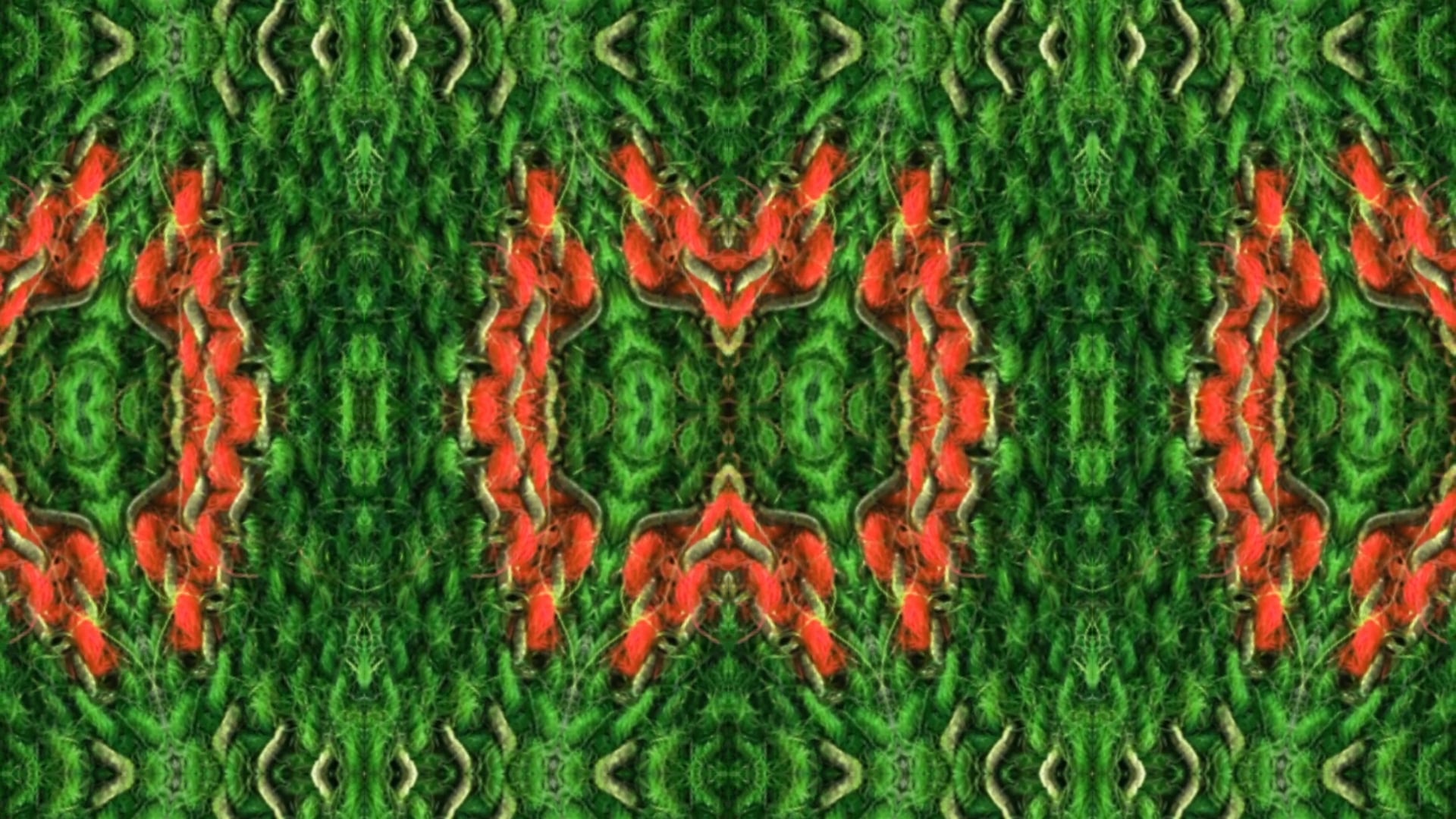 A textile pattern close up, filtered through a kaleidoscope lens