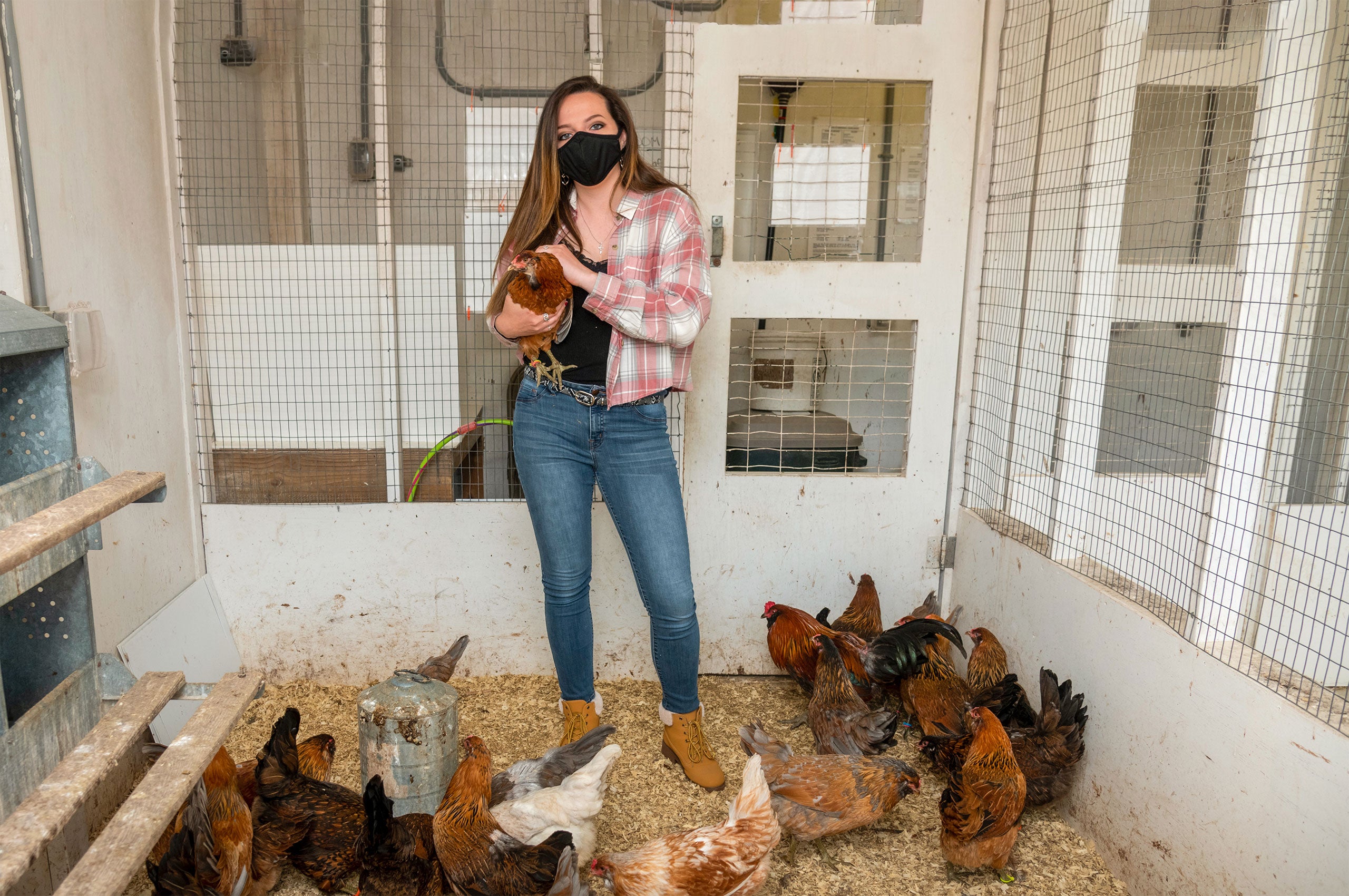 Jessica Weidemann trains a chicken