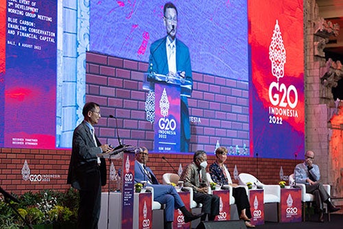 College of Business Interim Dean Shaw Chen speaking at the G20 meeting in Indonesia in 2022