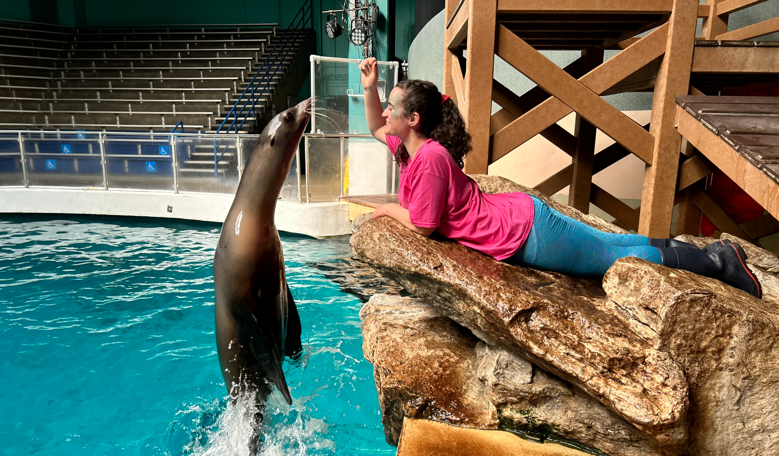 Megan Rossilli '23 and a California sea lion at Mystic Aquarium, Connecticut