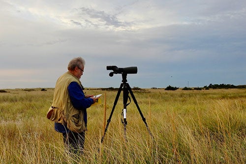 Professor and naturalist Peter Paton in the field