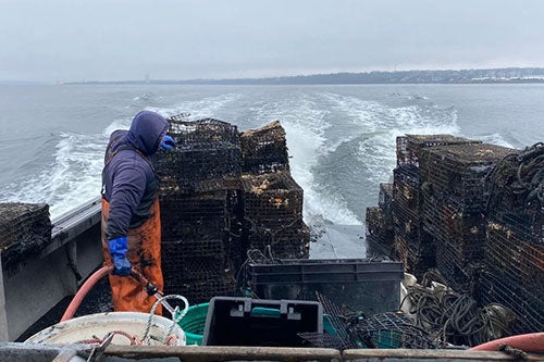 Ghost Gear – The University of Rhode Island