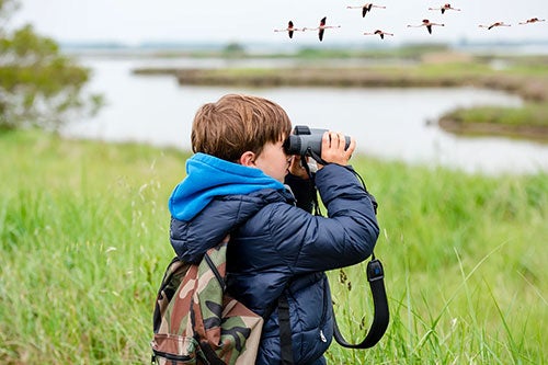 young boy standing in a marsh looking through binoculars at wildlife