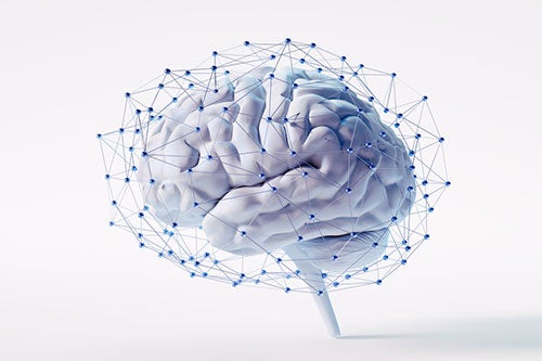 brain graphic image